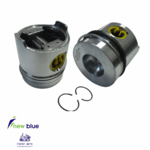 PISTON + RING