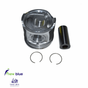 PISTON + RING